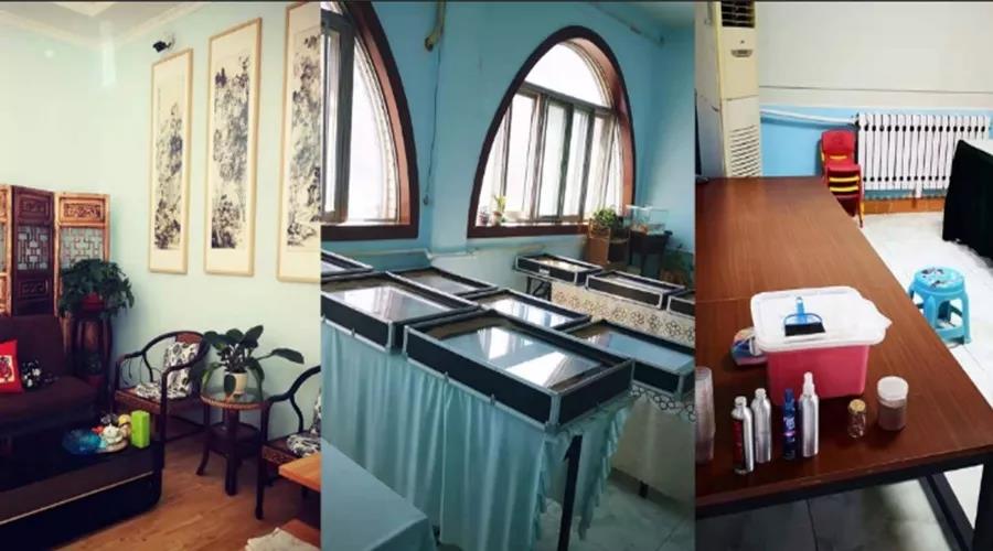 艺术教育学校2.jpg 艺术教育学校2.jpg