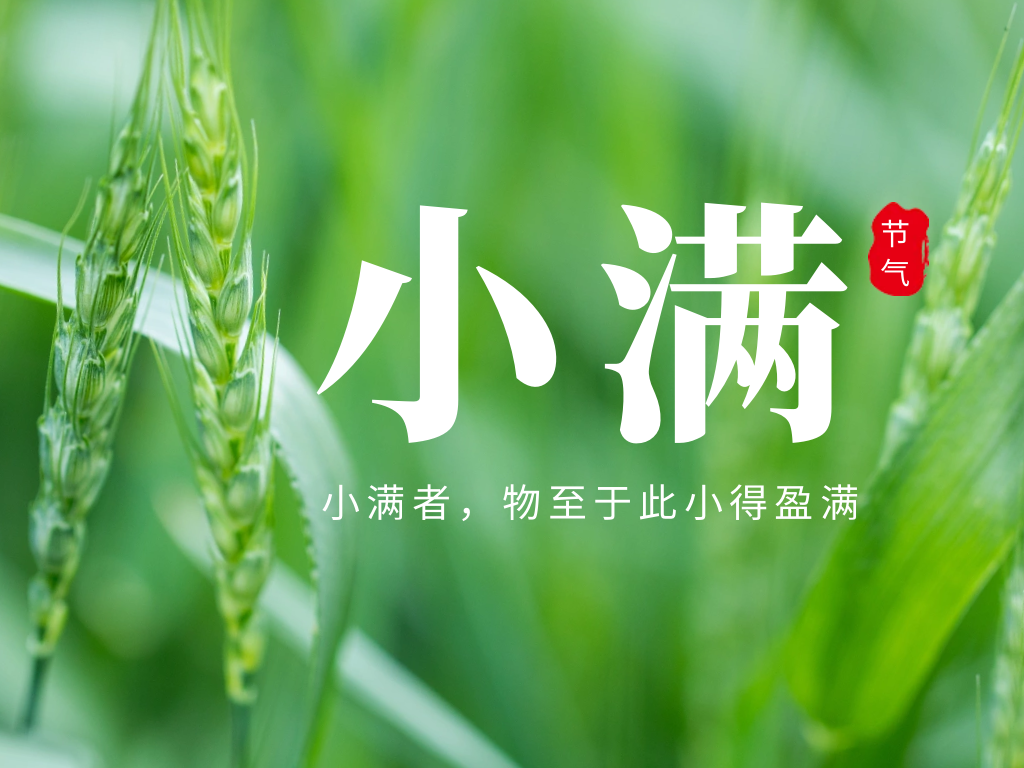 5月营销9.png