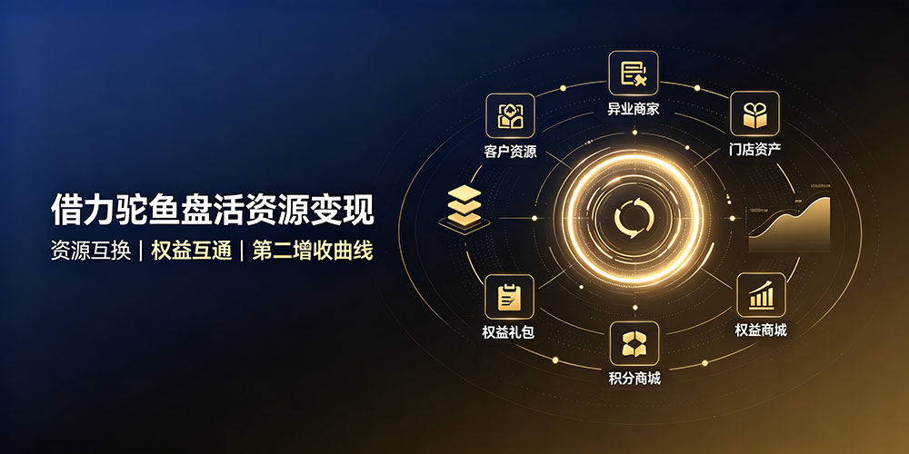 企叮咚：借力驼鱼盘活资源变现-企叮咚科技平台.jpg