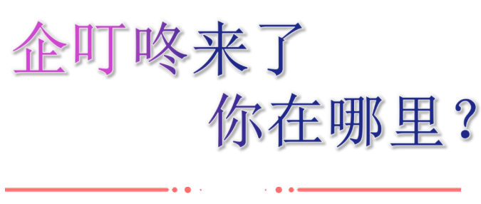 企叮咚.png 企叮咚.png